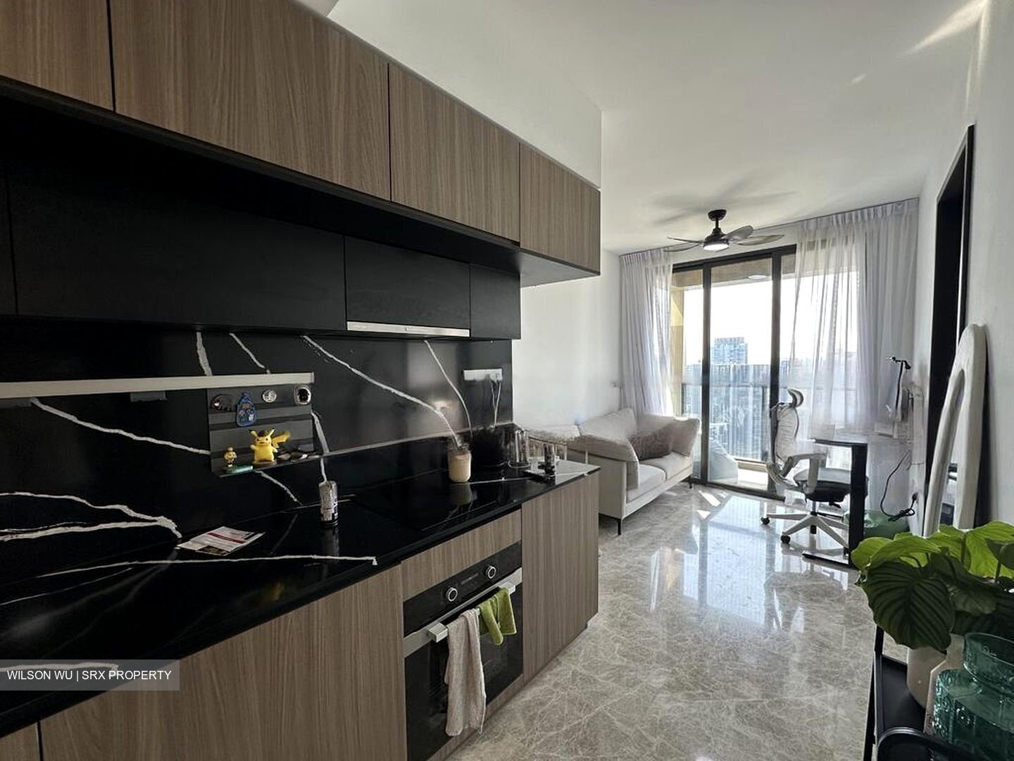 Irwell Hill Residences (D9), Apartment #455791661